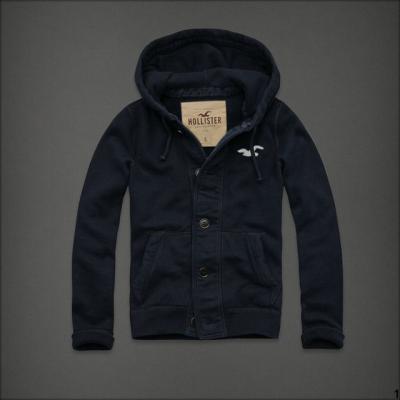 Hollister Men Hoodies-107